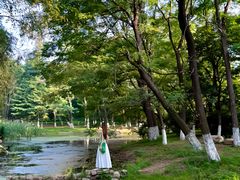 -长白岛森林公园