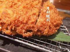 -山杏yama-katsu·吉列炸物