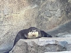 -宁波野生动物园