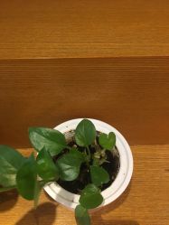 -时尚殿堂·颜SPA