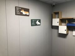 -半岛宠物医院24小时(科华中路店)