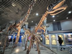 -国家自然博物馆