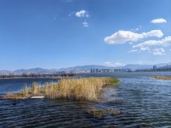 -洱海月湿地公园