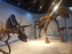 -辽宁古生物博物馆