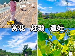 -南翠屏公园