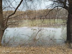 -长白岛森林公园