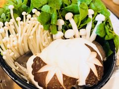-烹然四季椰子鸡火锅(团结湖总店)