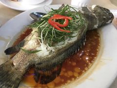 老虎斑-老字号蛇口德记烧腊饭店·海鲜加工