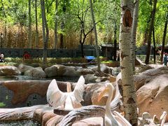 -北京野生动物园