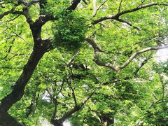 -达蓬山旅游度假区