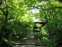-常寂光寺