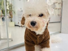 -共舞时光猫咖·狗咖(新街口店)