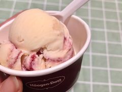 -哈根达斯(石家庄北国店)