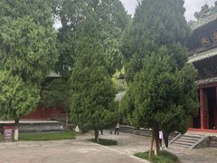 -报恩寺(平武县)