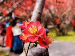 -塔子山公园