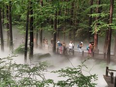 -北京植物园南门售票处