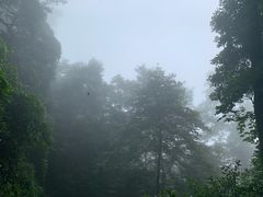 -綦江古剑山