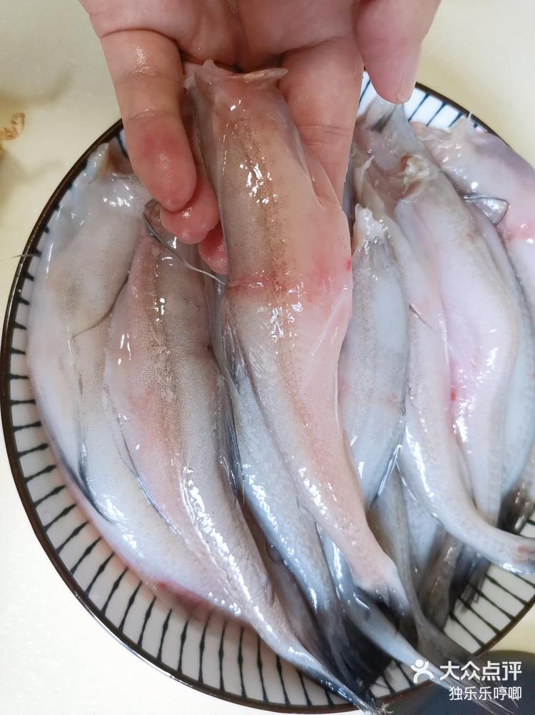 鼻涕鱼你吃过吗