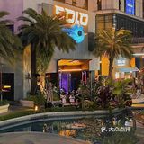 成都探店|浪漫有情调的音乐🎵餐酒吧