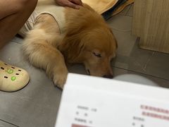 -虹泰宠物医院 ·旗舰店·24h(南秀路店)