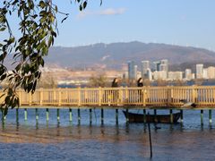 -洱海月湿地公园