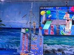 -多彩贵州城极地海洋世界