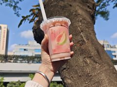 -茶百道(中医大省医院店)