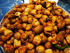 -梁溪河畔·吉府花园(南长街南下塘店)