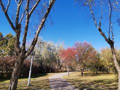 -长春公园(普阳街道)