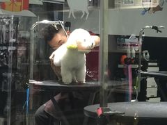 -宠物家(角门东店)