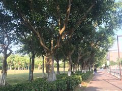 -北京师范大学(珠海校区)