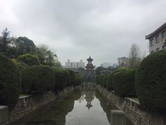 -四川大学(华西校区)