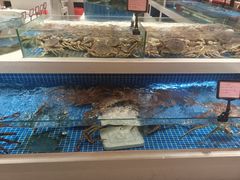-渔人码头(中南店)