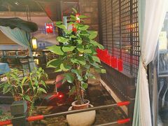 -红蜡烛-养生粥-津鲁菜(中山路店)