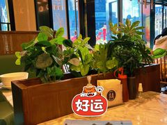 -PHO爺·越南料理(亦庄大族广场店)
