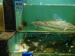 -长崎家日式料理(人民大街店)