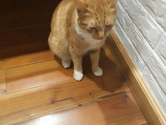 -猫的天空之城概念书店(景德镇陶溪川店)
