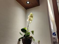 -春水堂人文茶馆(台中四维店)