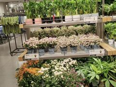 -鹿岛生活(熙地港店)