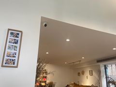 -猫里有甜