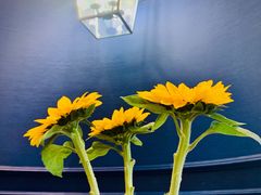 -翠湖宾馆·中餐厅