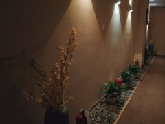 -Sakura·美颜社·日式私汤SPA