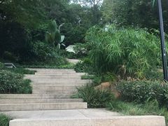 -飞凤山奥体公园