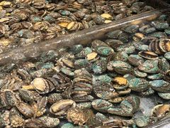 -海鲜e族(马王堆店)