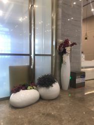 -成都艾特他整形外科医院