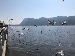 -海埂大坝
