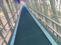 -石燕湖生态旅游景区