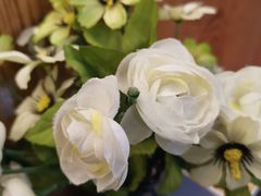 -双海酒店·海鲜家常菜(南戴河店)