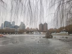 -团结湖公园