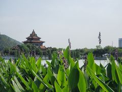 -顺峰山公园
